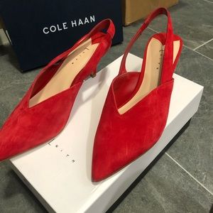 Beautiful Red Suede shoes